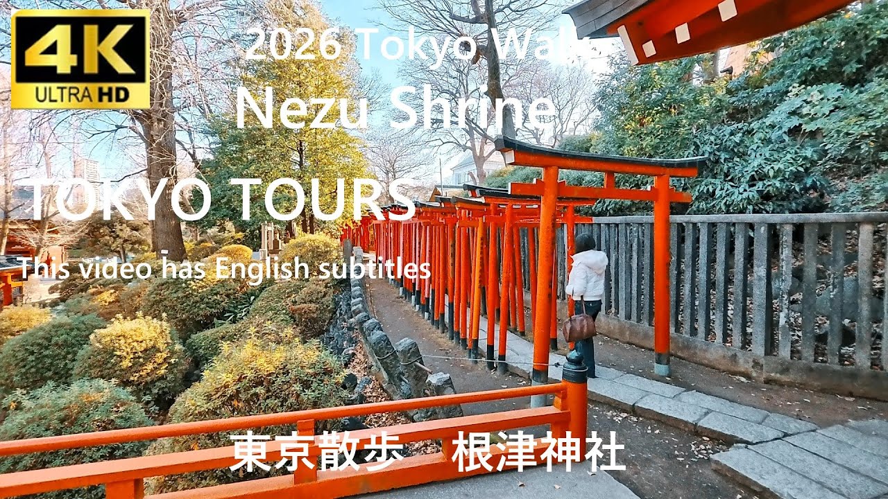 2026 Tokyo Walk Nezu Shrine 東京散歩 根津神社