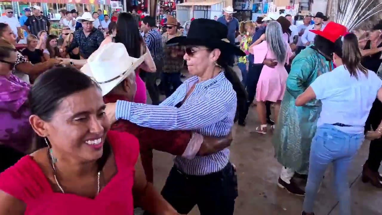 Lo que no biste en la pulga de álamo 3