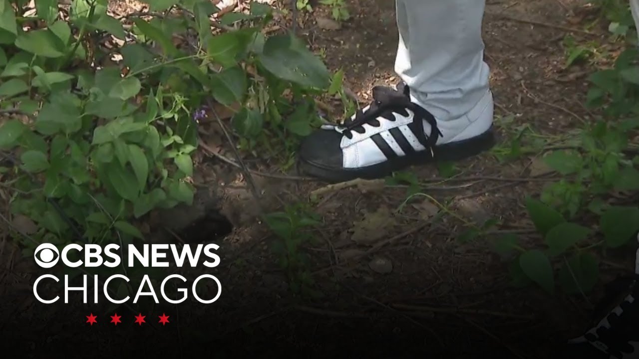 Neighbors concerned that rats are taking over park in Chicago's West Town community