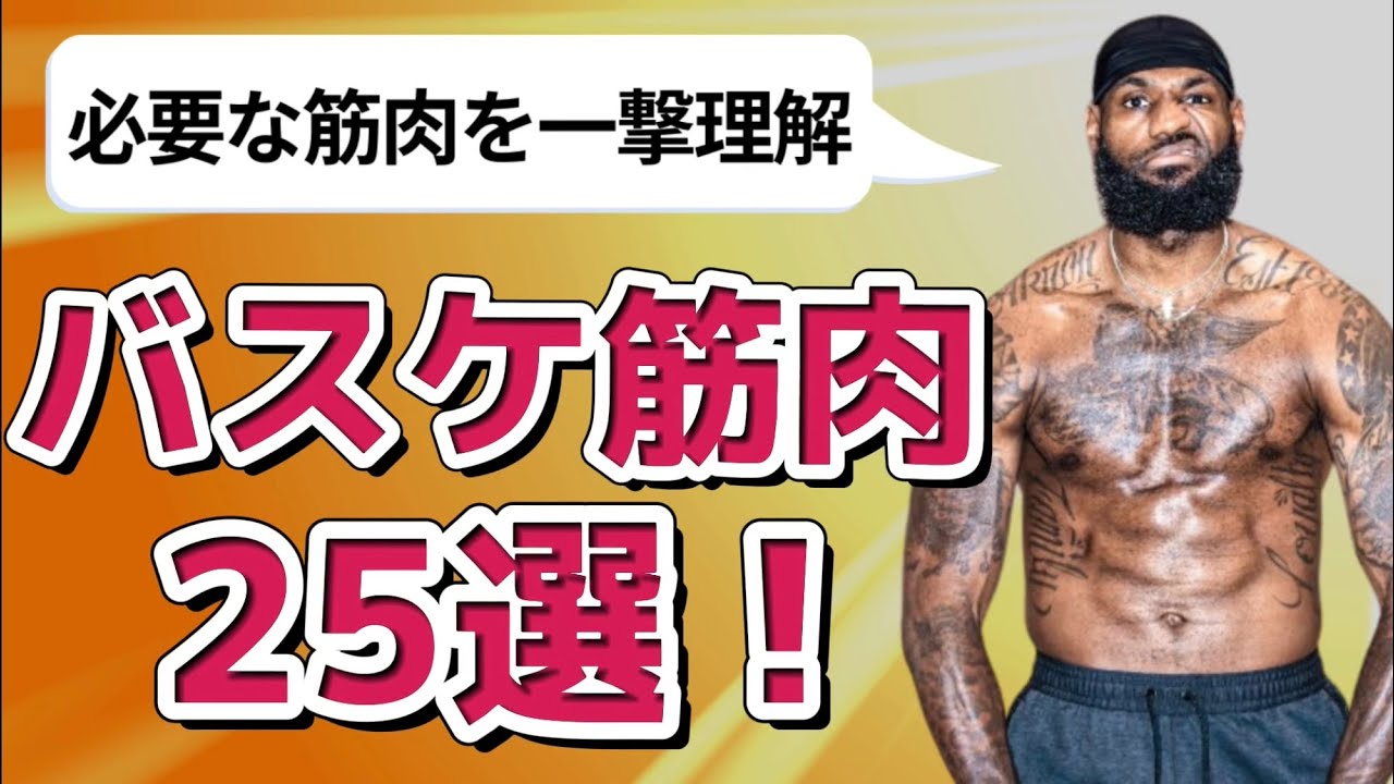 バスケに必要な鍛えるべき筋肉25選完全解説【一撃理解】