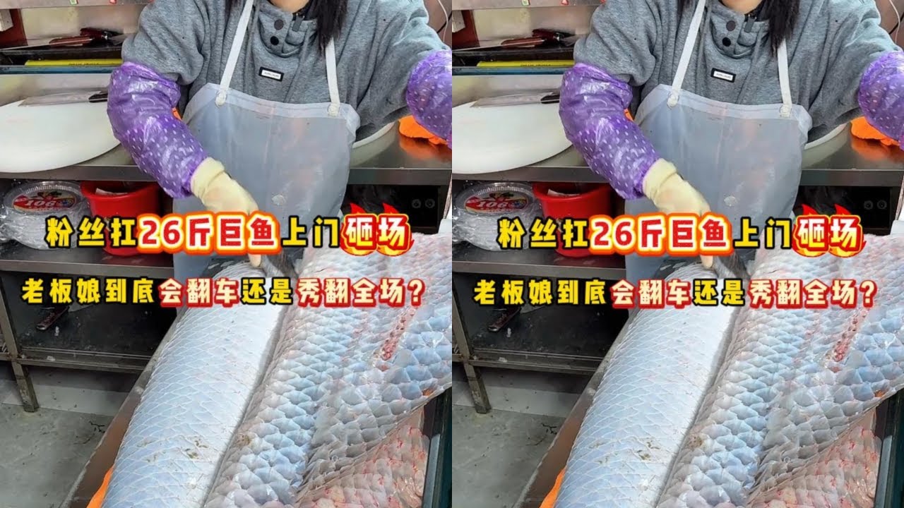 粉丝扛26斤巨鱼上门求助，老板娘到底会翻车还是秀翻全场？