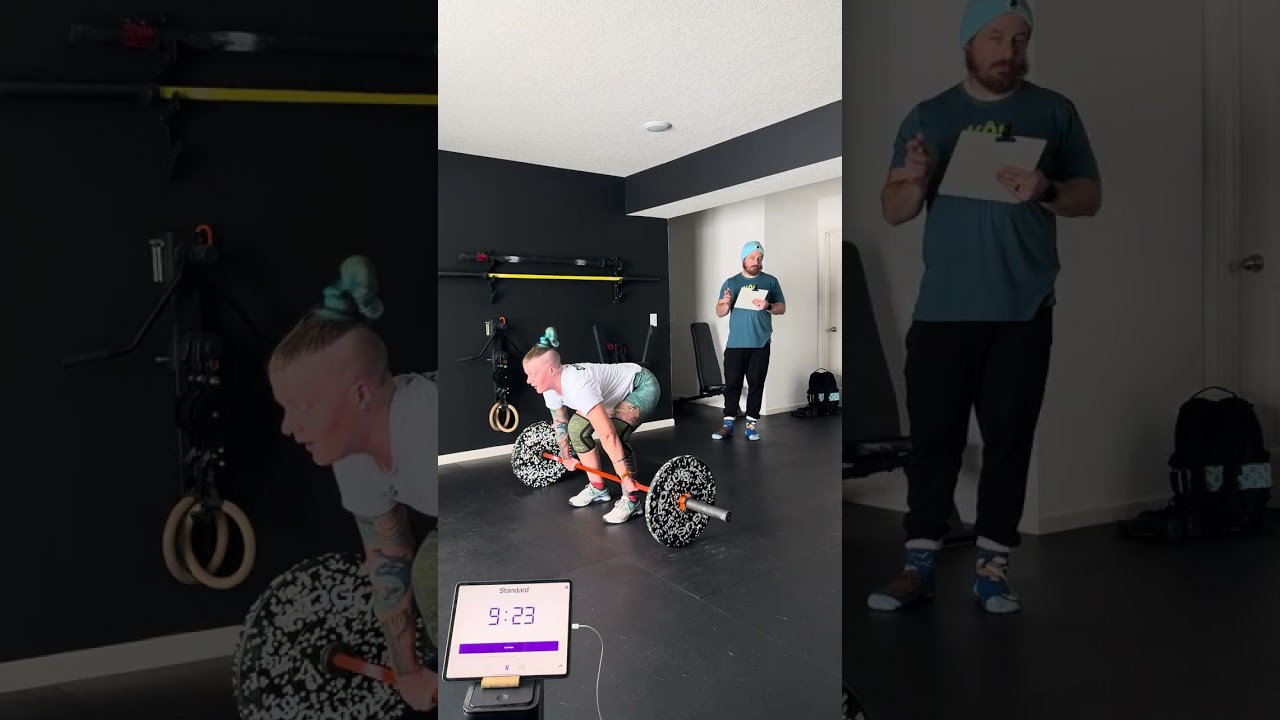 26.3