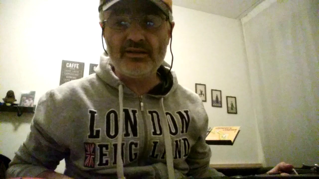 VIVA L' ITALIA (Francesco De Gregori)