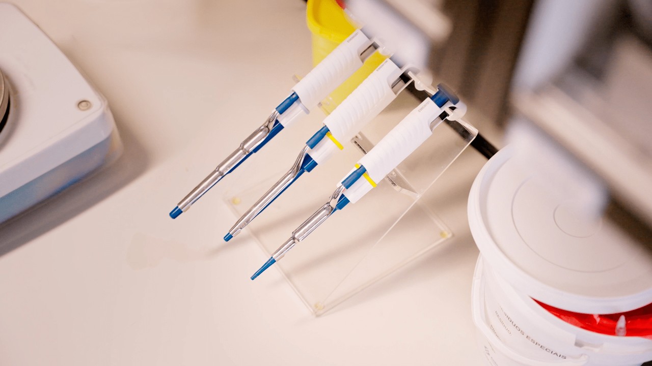 Licenciatura Bioqu&iacute;mica Ci&ecirc;ncias ULisboa