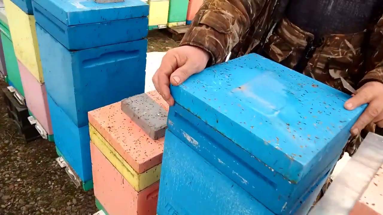 17 марта