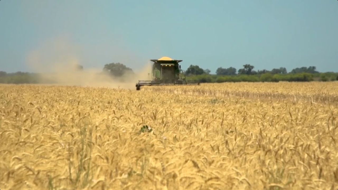 Demandan productores agr&iacute;colas apoyo frente a Palacio Nacional