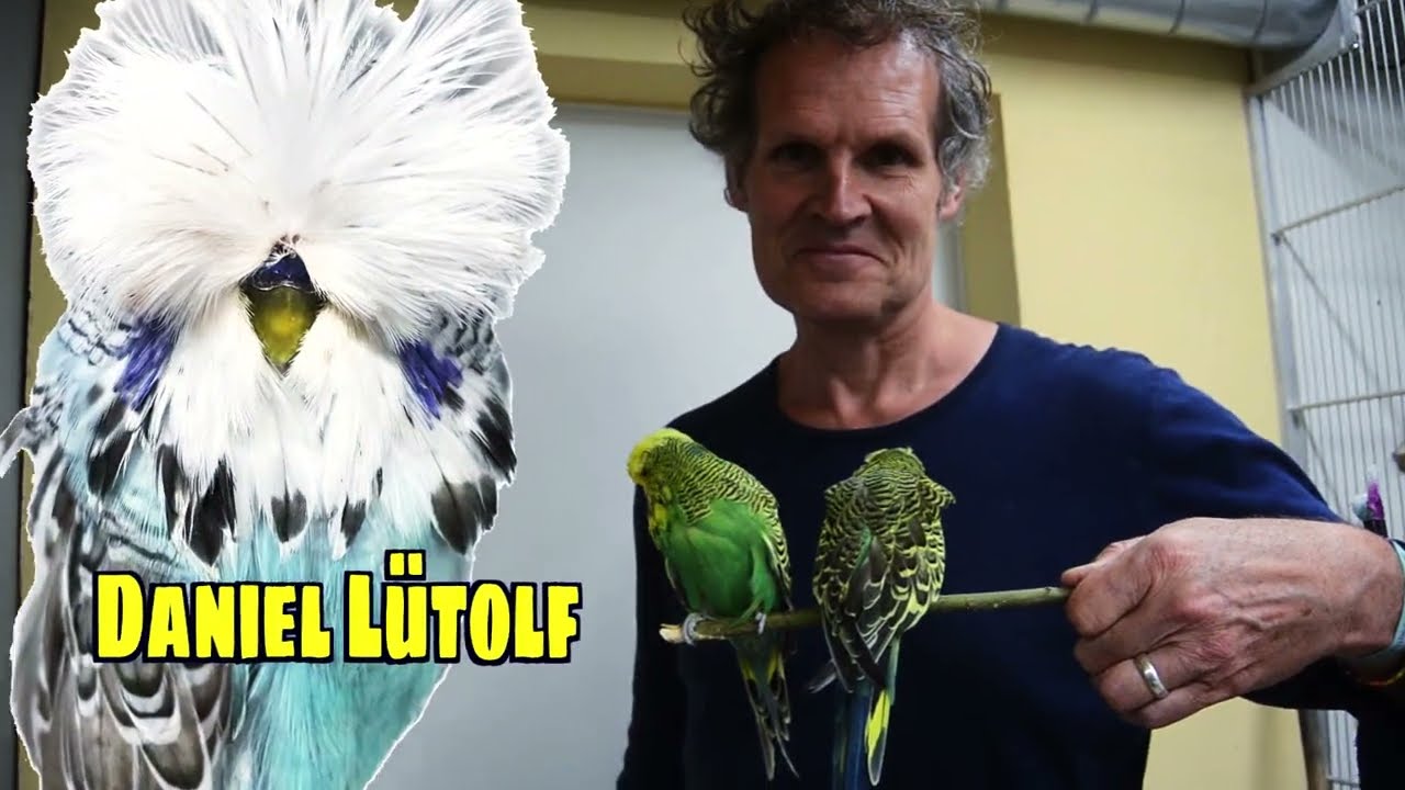DANIEL LÜTOLF  