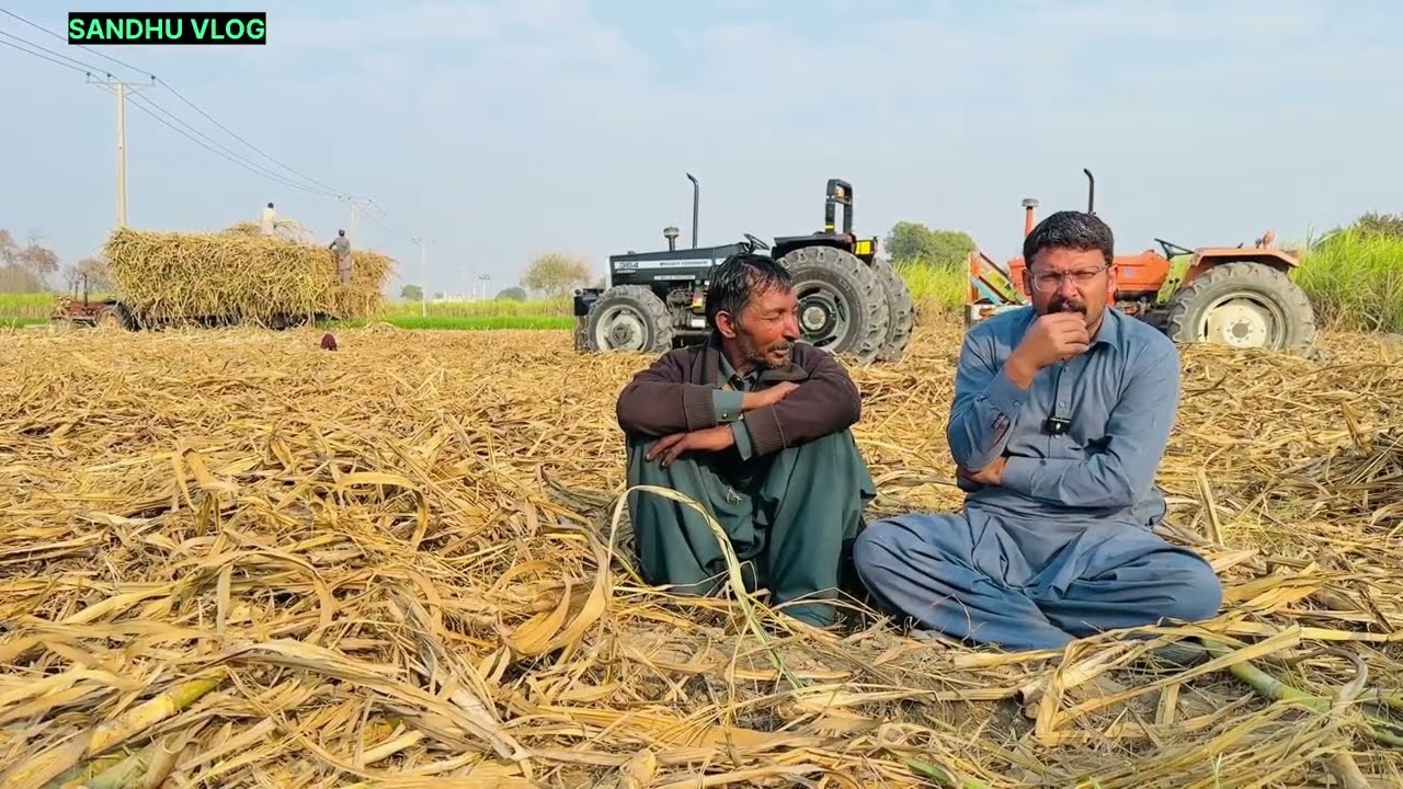 Tractor trali commercial  Driver Interview 