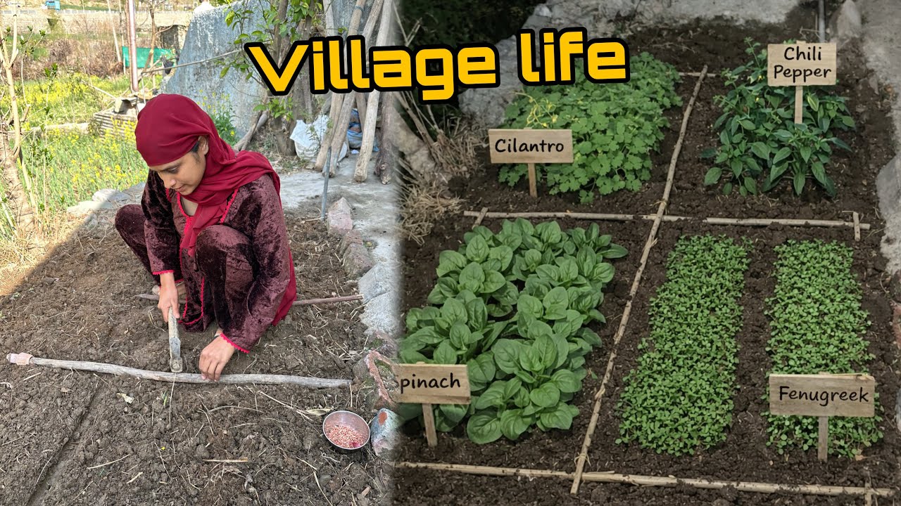 Aaj Khet Mein Kya Kiya? | Farming Routine Vlog 