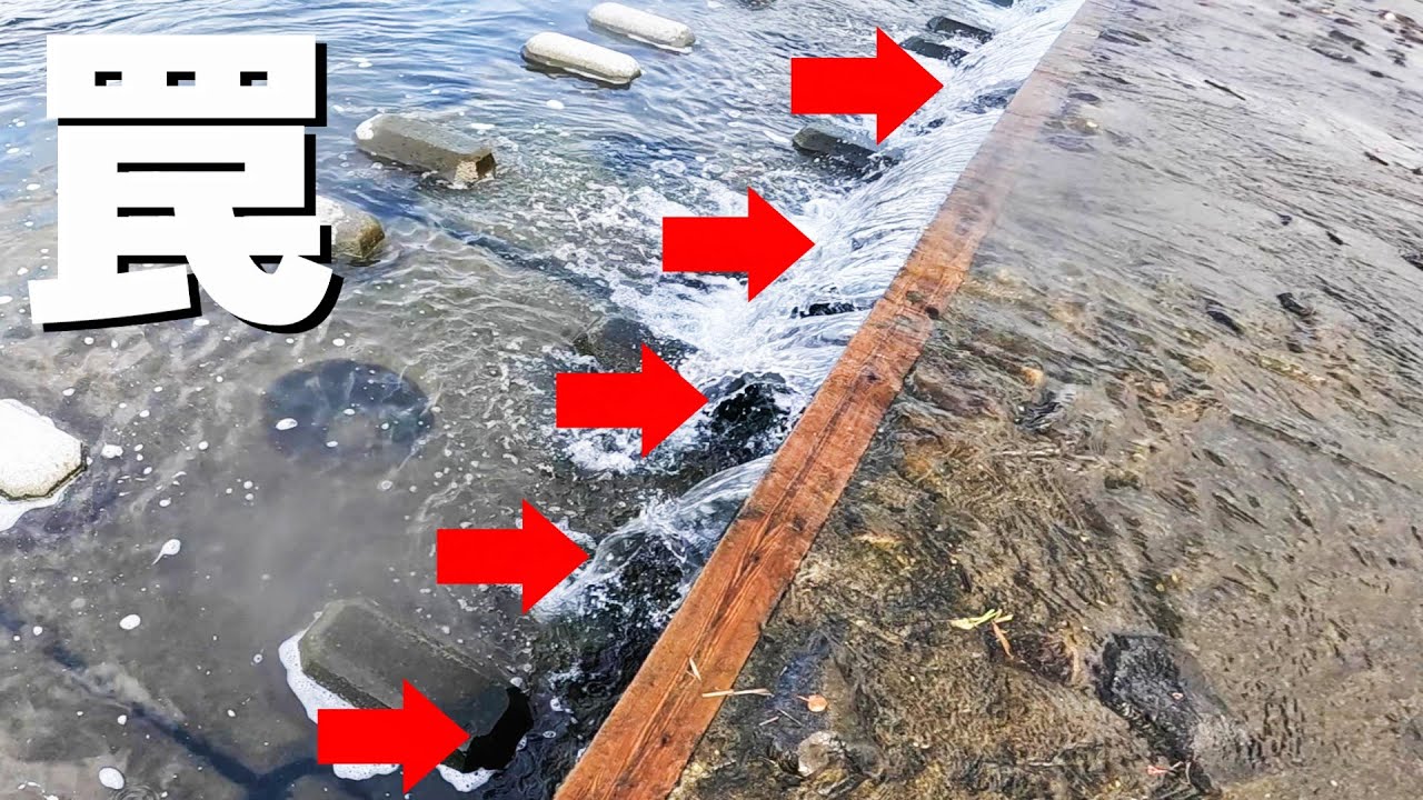 堰堤の裏に潜む高級魚を狙った結果
