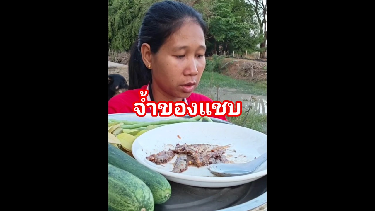 แจ่วปาแดก