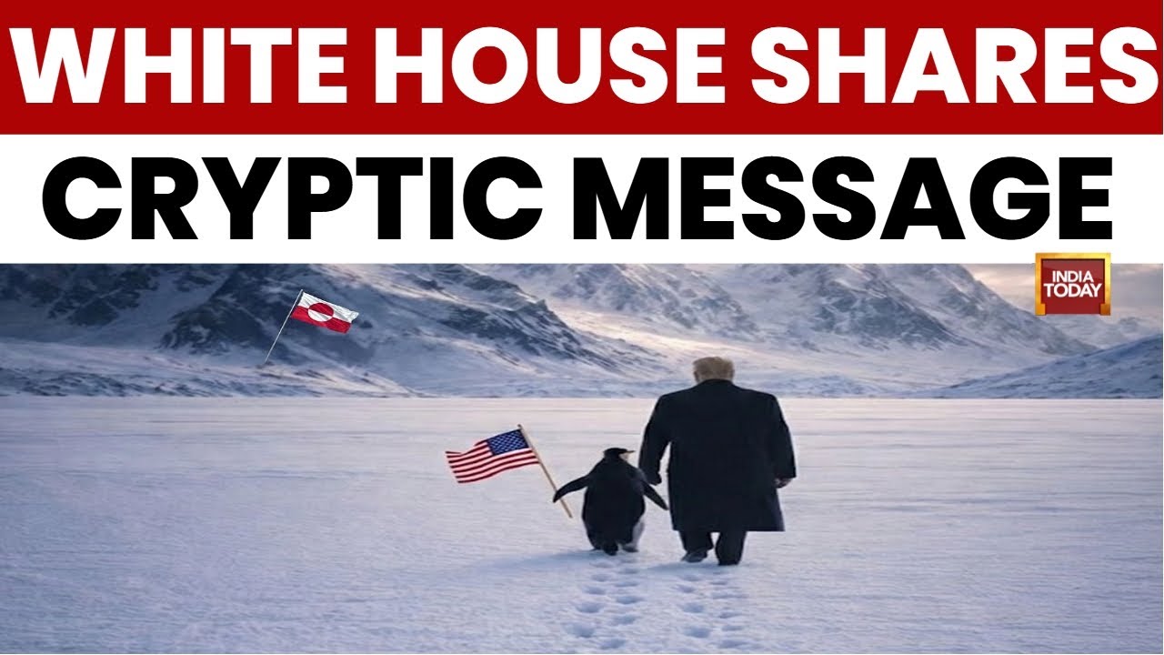 Donald Trump Trolled Over AI Penguin Meme Amid Renewed Push To Acquire Greenland | US NEW