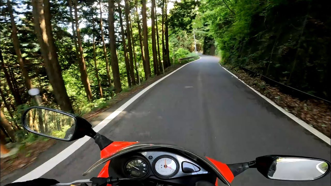 山伏峠 (埼玉ツーリング) | スズキ SV400S Vツイン