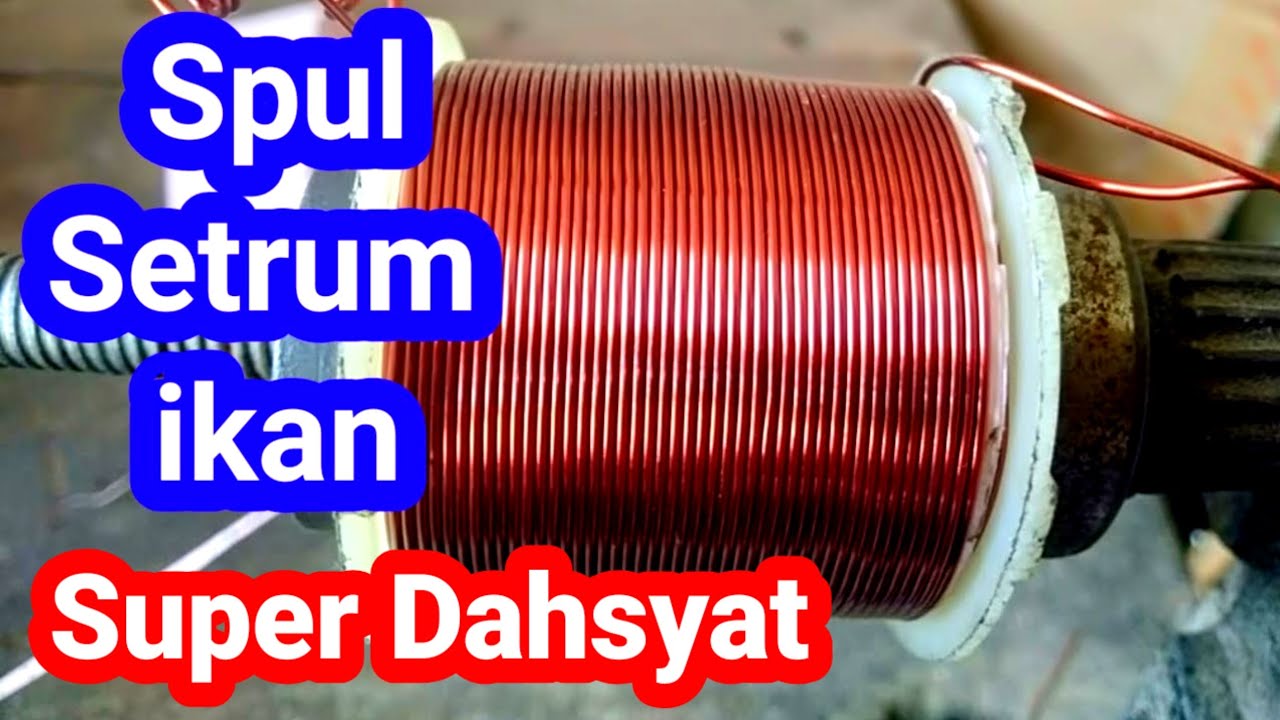 Cara Gulung Spul Setrum Ikan Platina