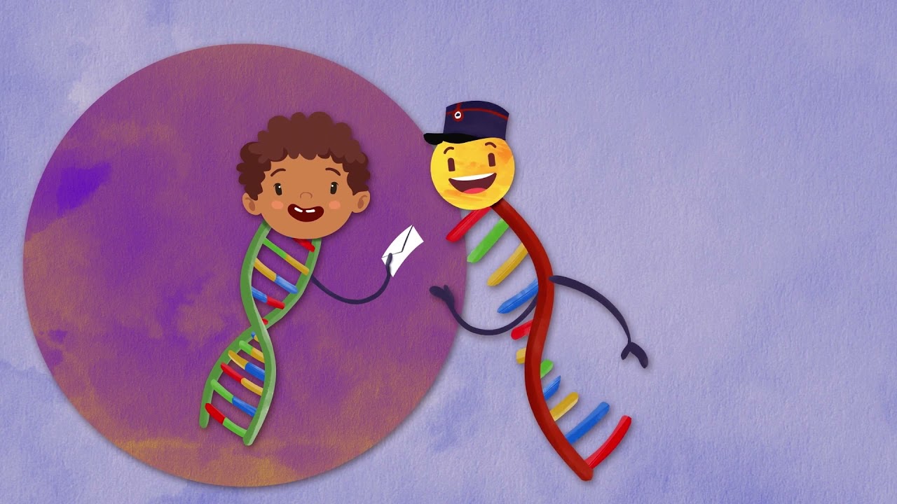Comment fonctionnent les vaccins?