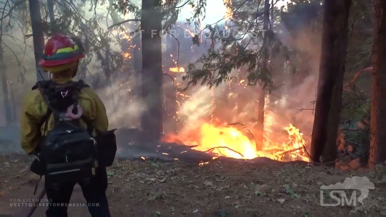 09-07-2022 Michigan Bluff, CA - Mosquito Fire - Intense Night Fire Behavior, Trees Torching