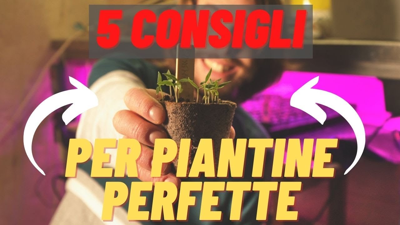 5 CONSIGLI per PIANTINE da orto PERFETTE | SEMENZAIO 2021