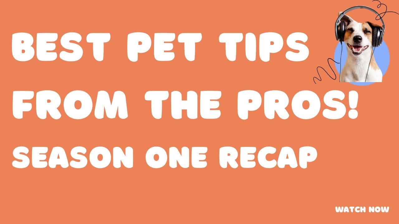 Pet Care Essentials: Top Tips from Season 1