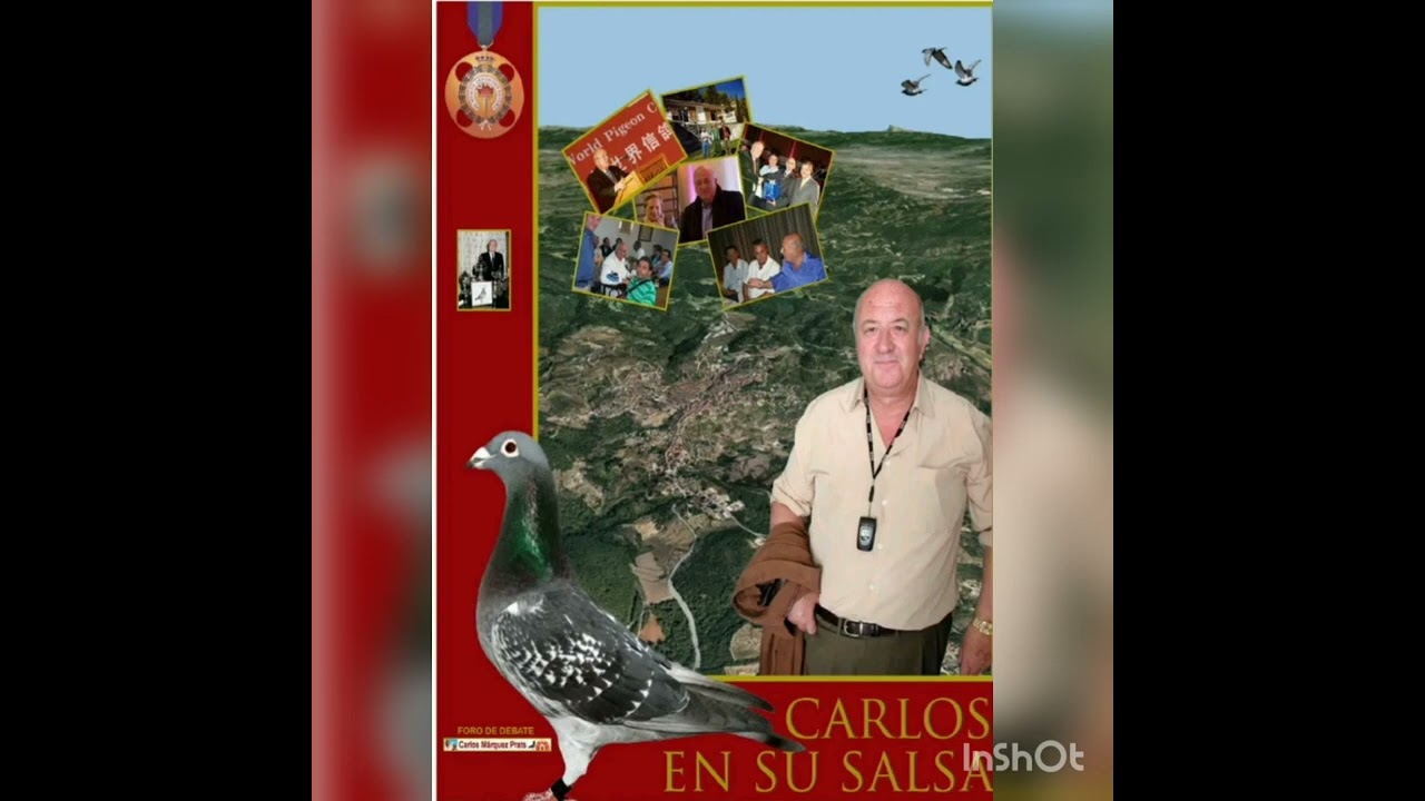 la semilla de c&aacute;&ntilde;amo y sus beneficios en palomas de fondo
