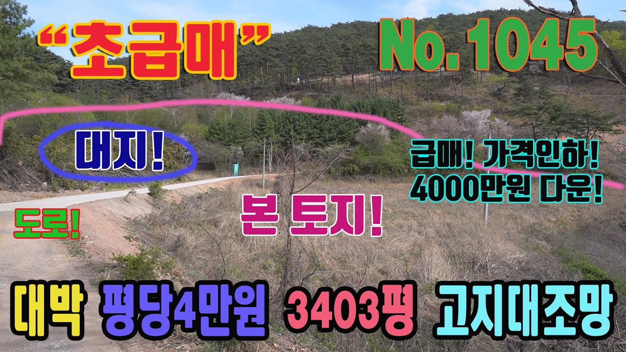 초급매 4천만원 가격인하 대박매물 평당4만원대 강력추천 11,249㎡ 3403평 대지 115평 도로 정비 고지대 조망 남한강 주변 충북 단양군 가곡면 향산리 토지 매매 단양 급매