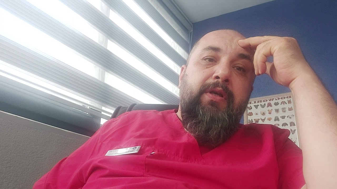 Köpekte dış parazit uygulamaları