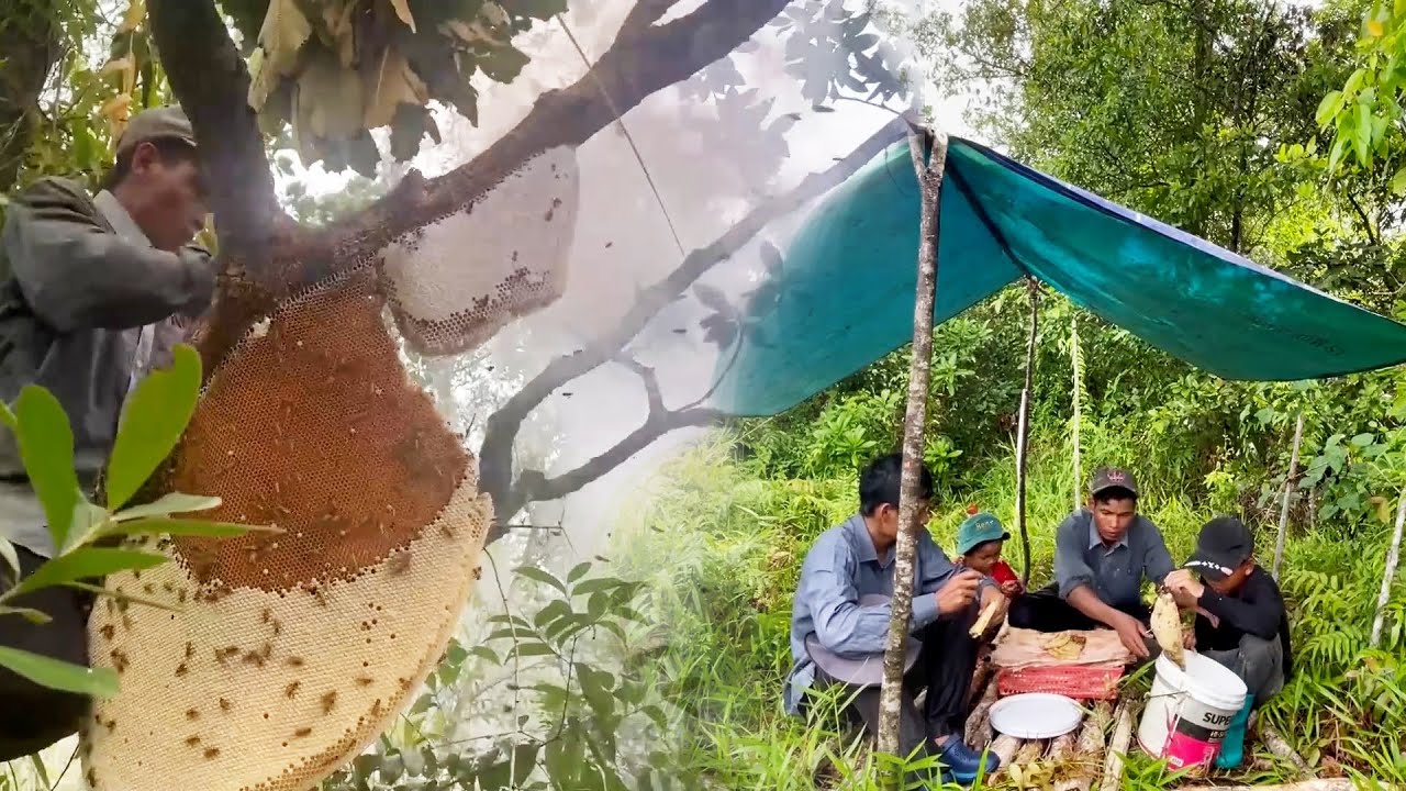កោះនេះព្រៃក្រាស់ ស្បូវក៏ក្រាស់ ឆ្ងាយពីផ្ទះអ្នកស្រុកផង You should relax with beautiful scenery here