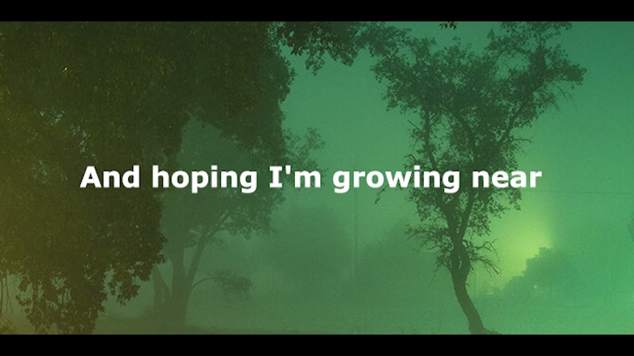 Alabama Shakes - This Feeling (Lyrics)