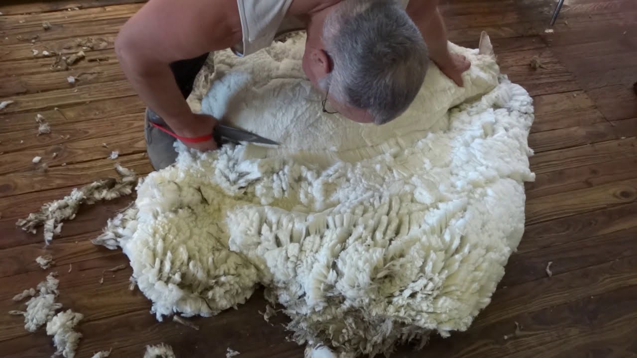 Blade Shearing