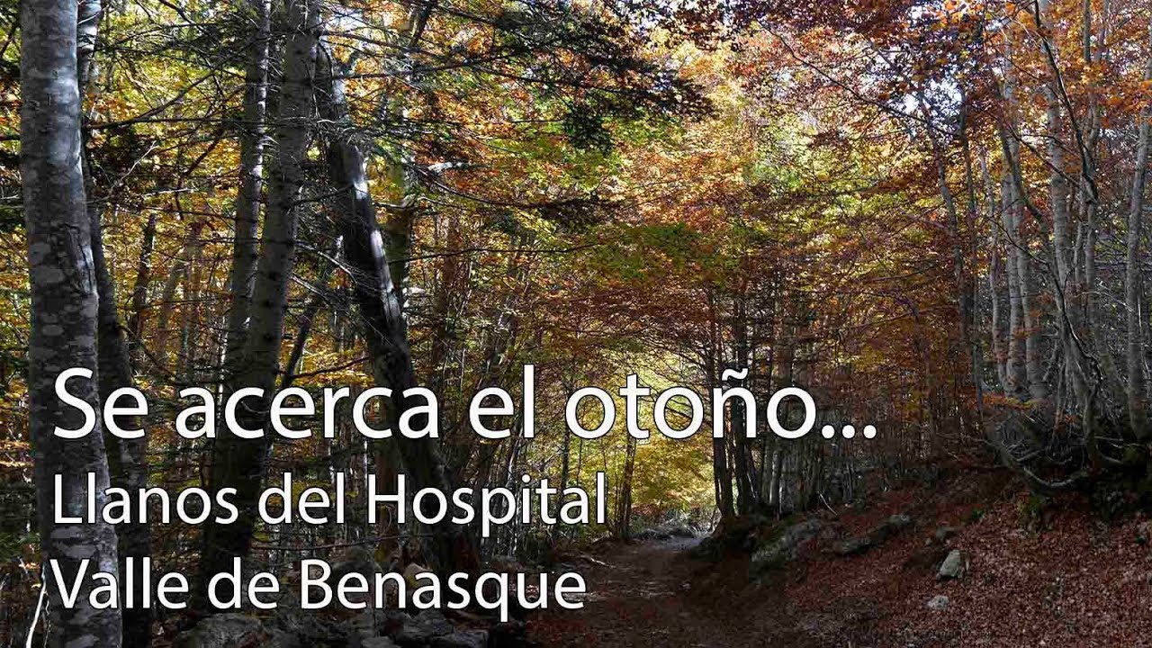Oto&ntilde;o en Llanos del Hospital. Valle de Benasque. Parque Natural Posets-Maladeta.