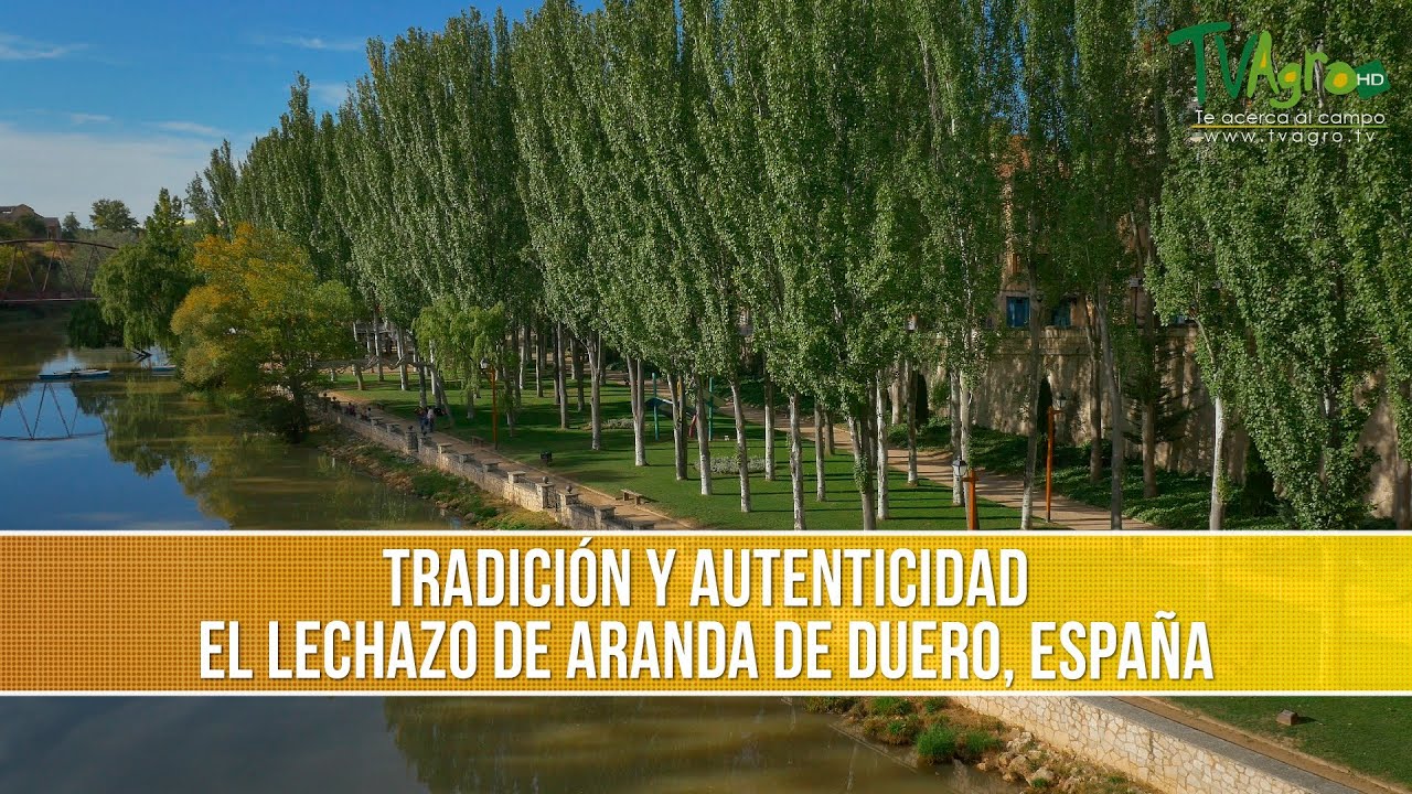 Tradición Gastronómica, el Lechazo de Aranda de Duero - TvAgro por Juan Gonzalo Angel