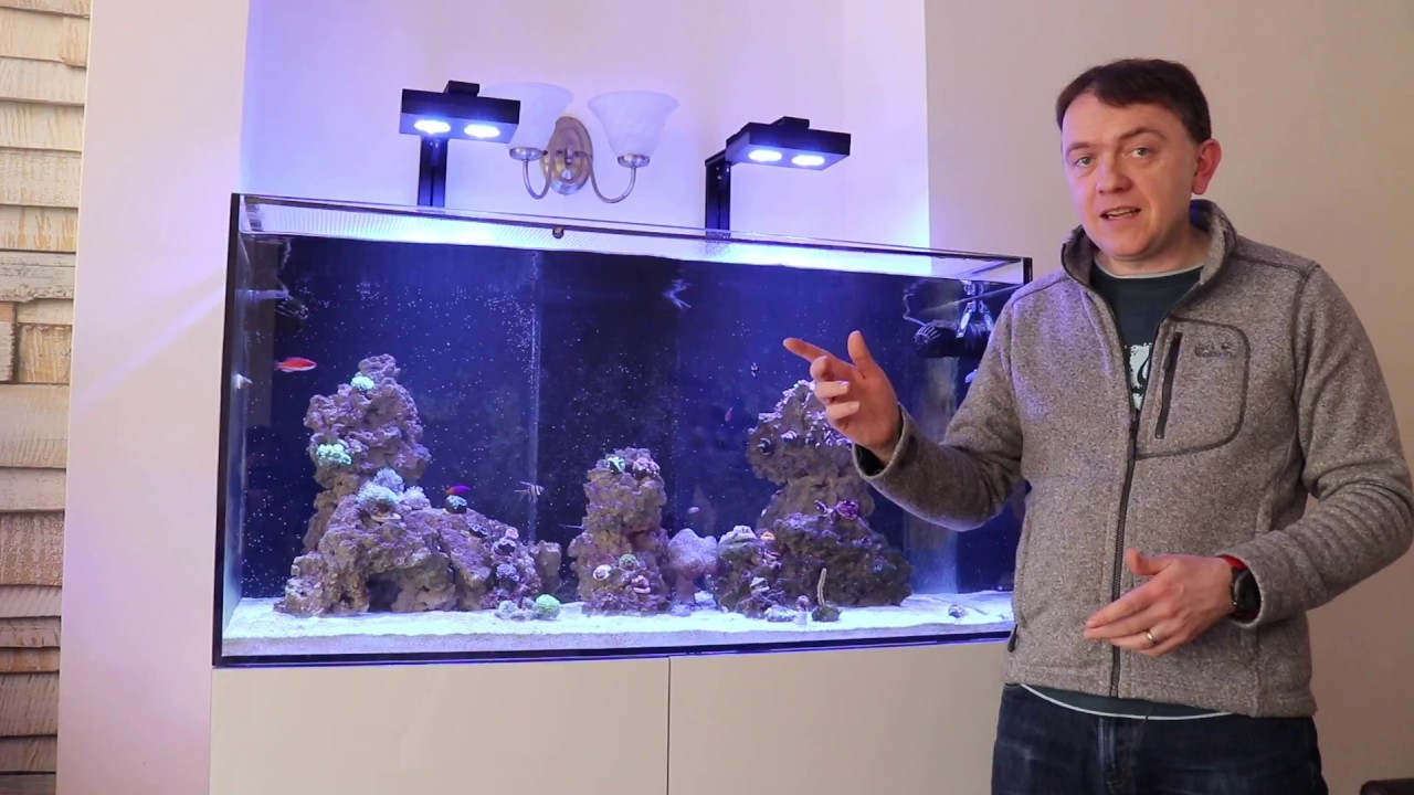 EA Reef Pro 1200