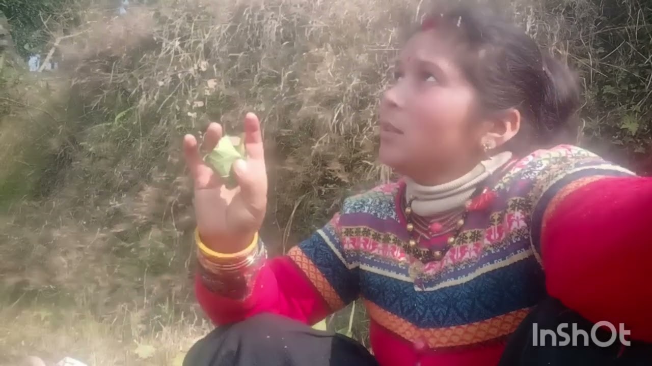 दोस्तों आज मैं गई जंगल तीमुल काटने मम्मी के साथ🌲🥰🤔 दोस्तों ऐसा कम होता है मेरे साथ 