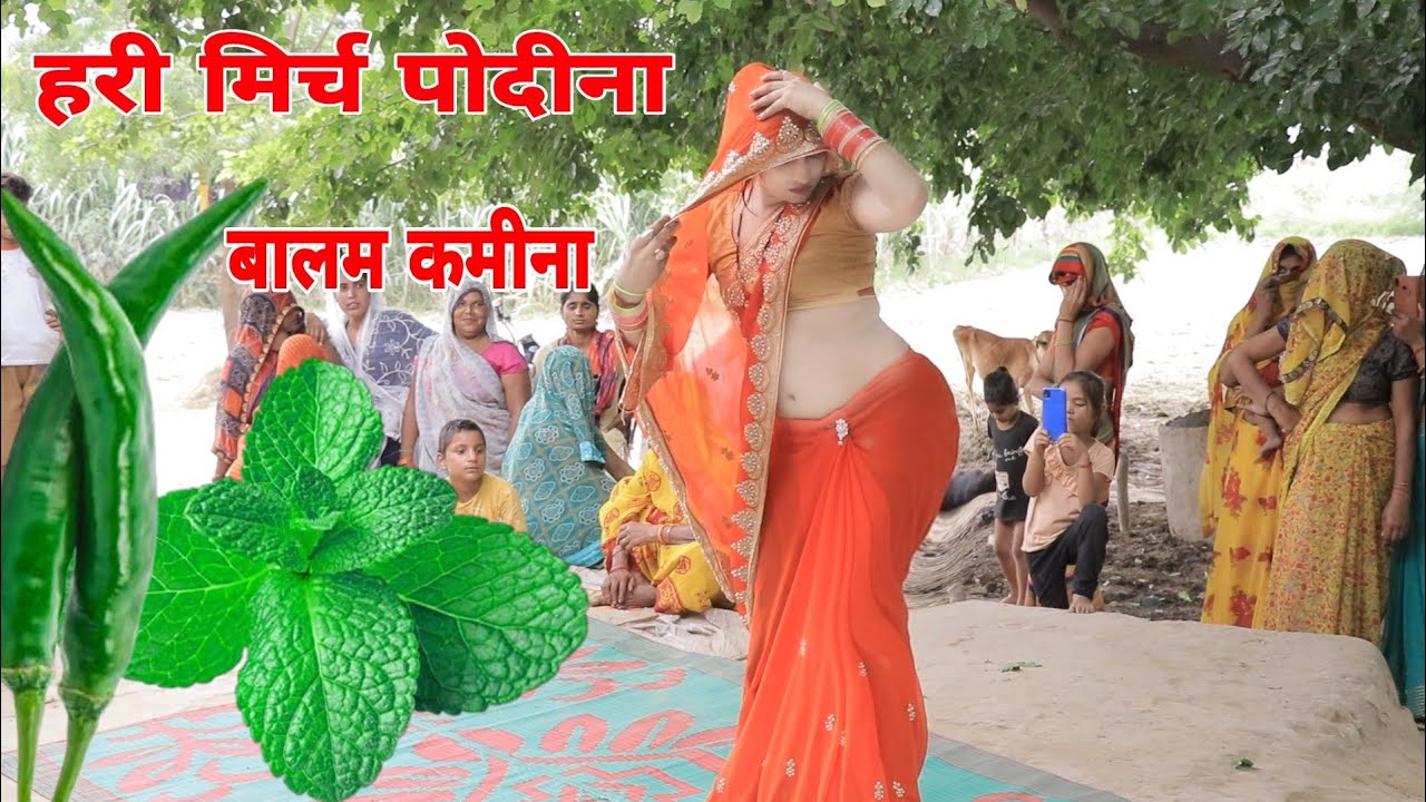 😀😀हंसी माजक 🥰मस्ती का गाना❤️// हरी मिर्च पोदीना बहना बालम मिलो कमीना// Bablu shastri