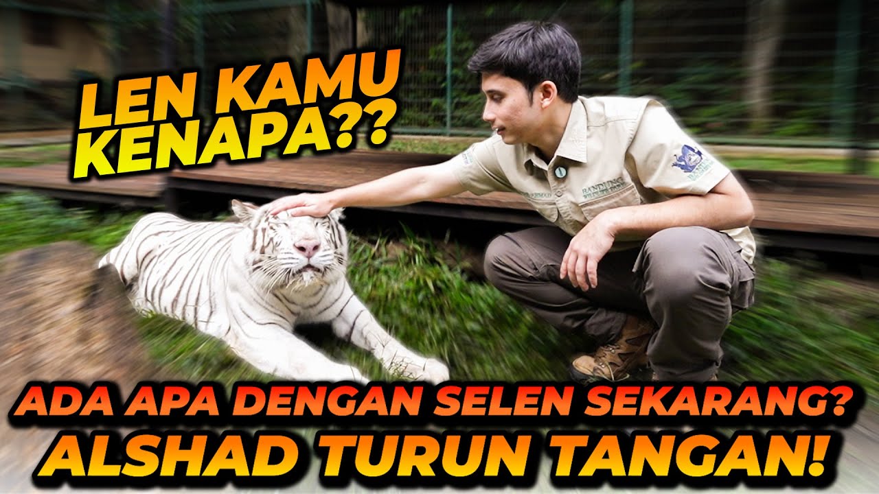 SELEN GA MOOD HARI INI! SUSAH DIATUR DAN SENSITIF BANGET! BEGINI CARA MENANGANINYA!