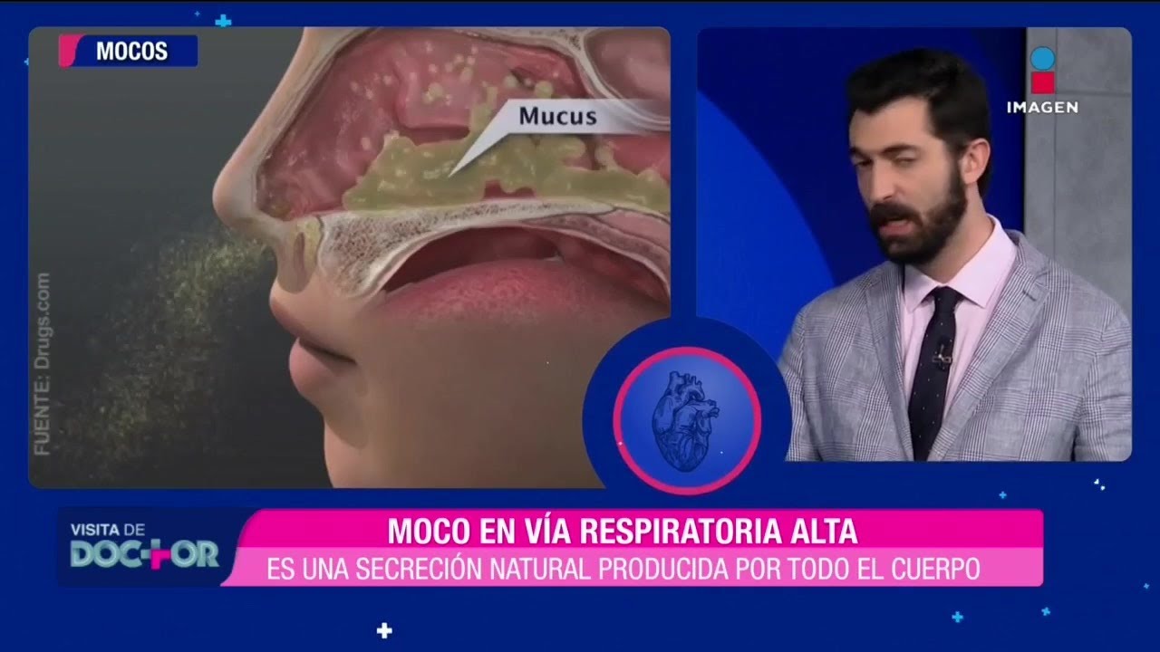 Moco: enfermedades seg&uacute;n su color y textura | Sale el Sol