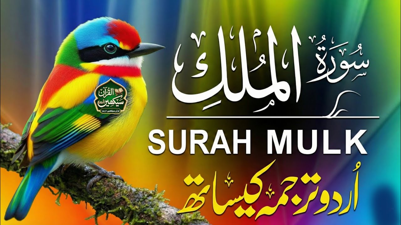 Surah Yaseen 🌙 Heart Touching Quran | Urdu Translation | Peace for Friday & Night