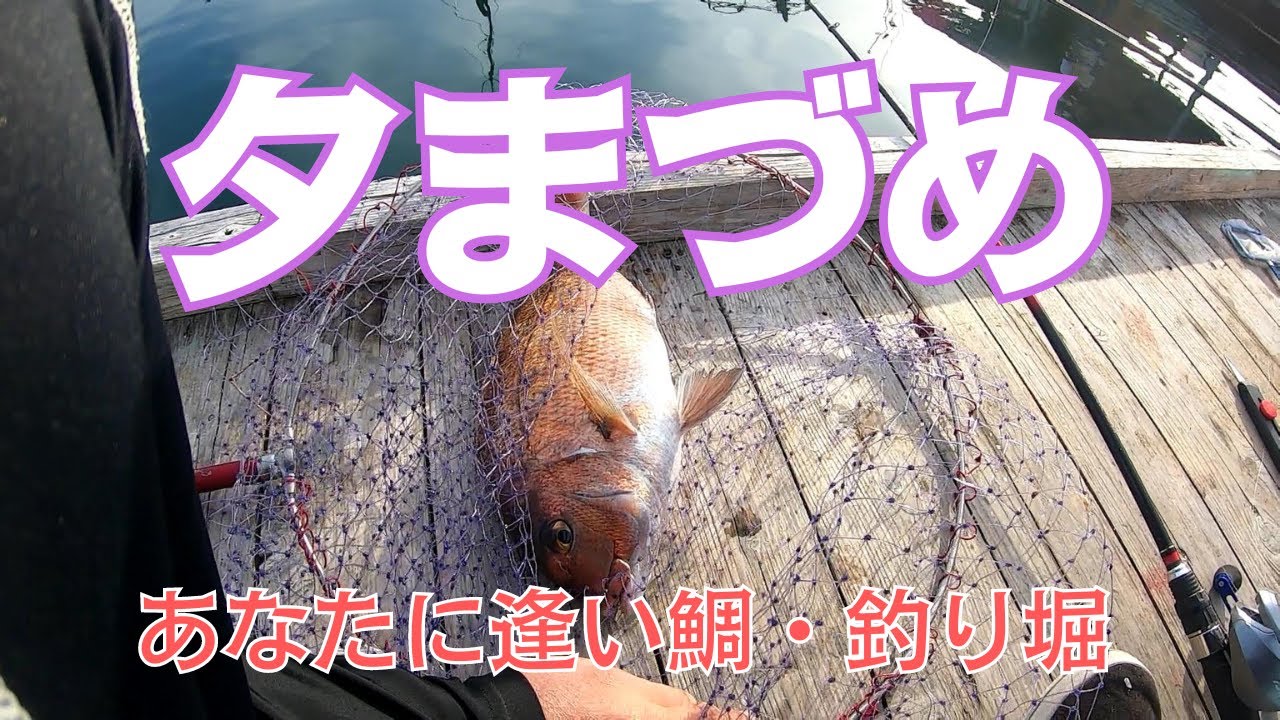 あなたに逢い鯛。釣り堀【夕まづめ釣行】を親子で楽しむ