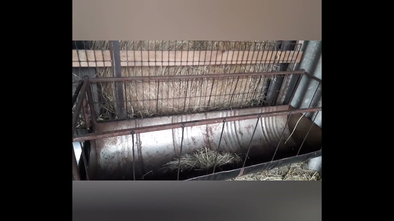 Кормушка для баранов  под сено