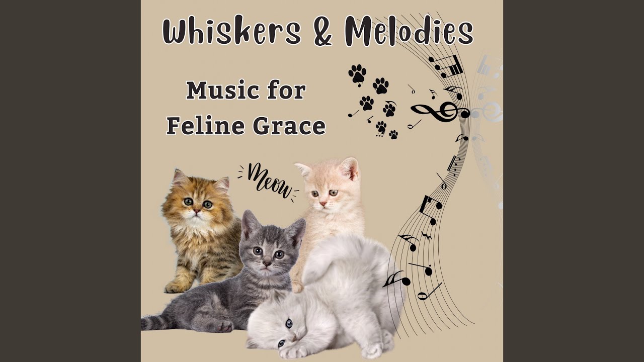 Music for Curious Paws