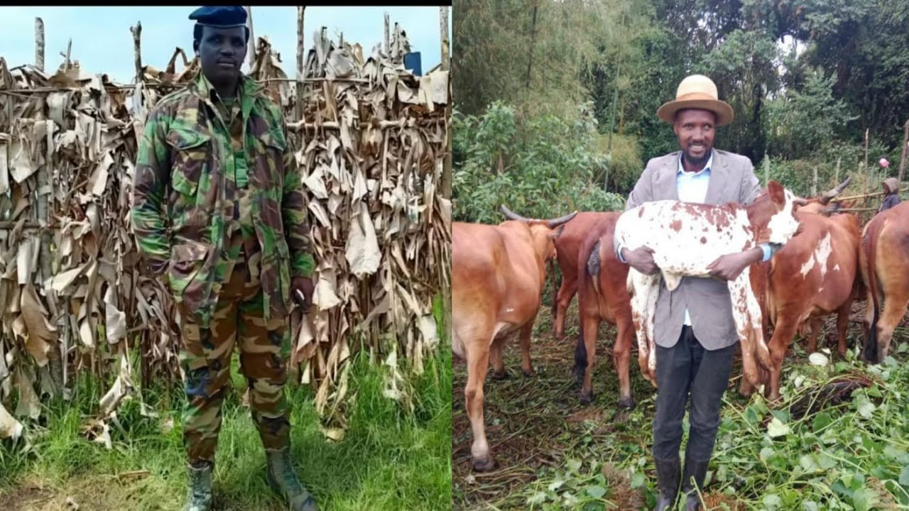 19/02/26//IBITERO BIKOMEYE BIRIMO NA DRONES,MINEMBWE,RWITSANKUKU MUTUNDA, RURAMBO KURIKIRA RUTCHO TV