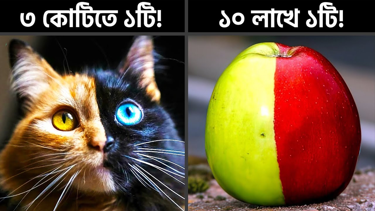 প্রকৃতির এ কেমন নির্ভুল ভুল!? Anomalies of Nature @pinikpi