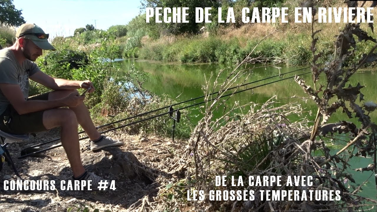 Peche de la carpe en riviere! concours carpe #4