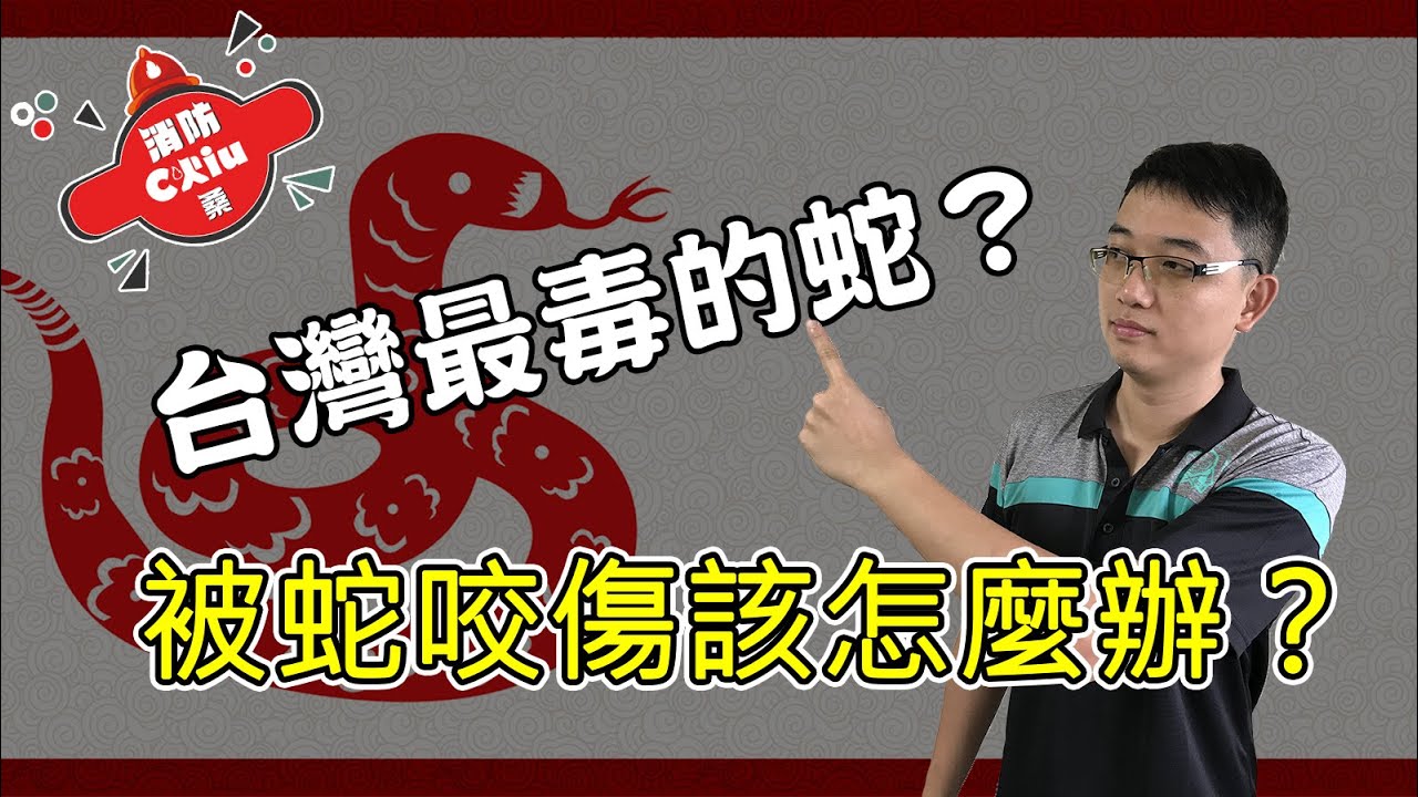 竟然沒聽過台灣最毒的毒蛇？被蛇咬傷的時候該怎麼辦呢？【Chiu桑的宣導】