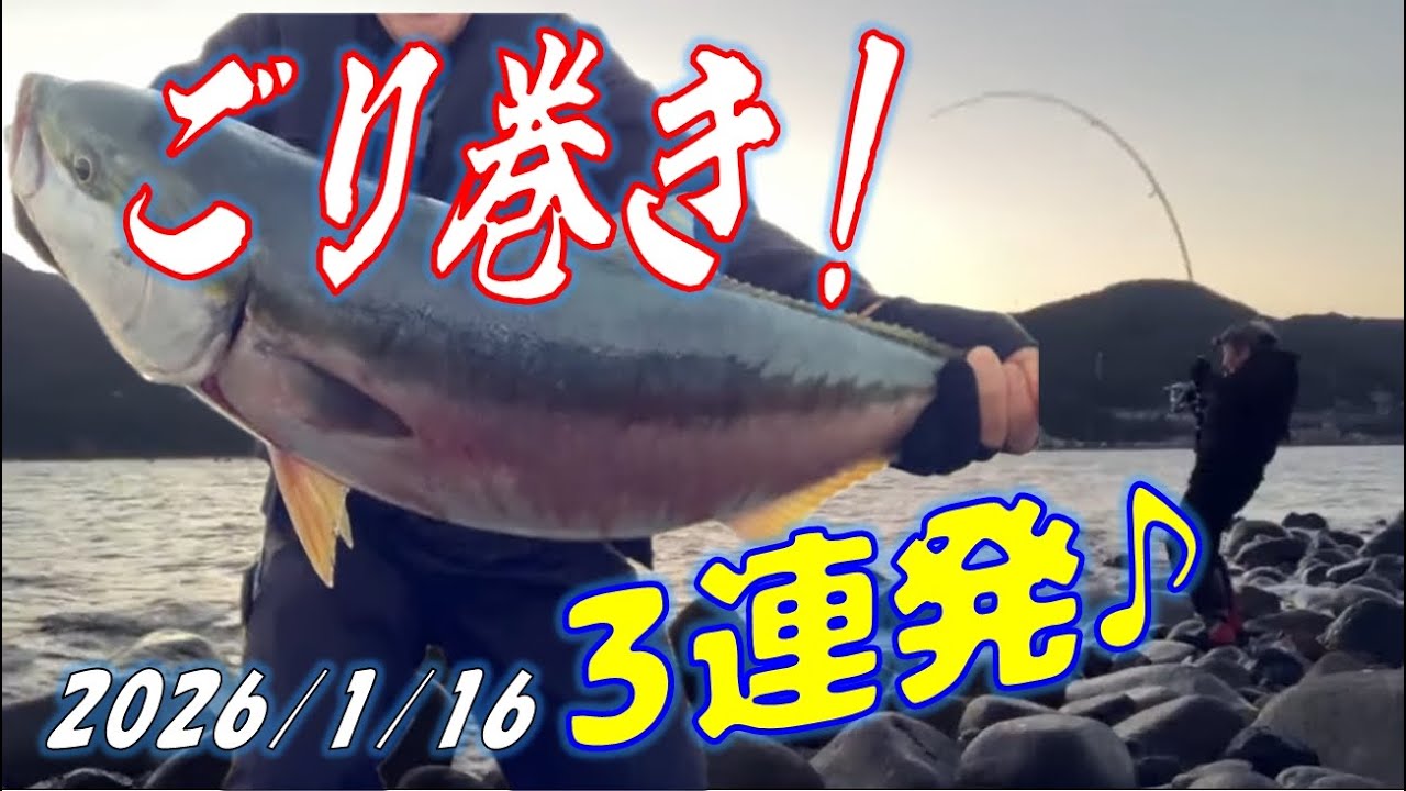 寒ブリ回遊ドンピシャ♪