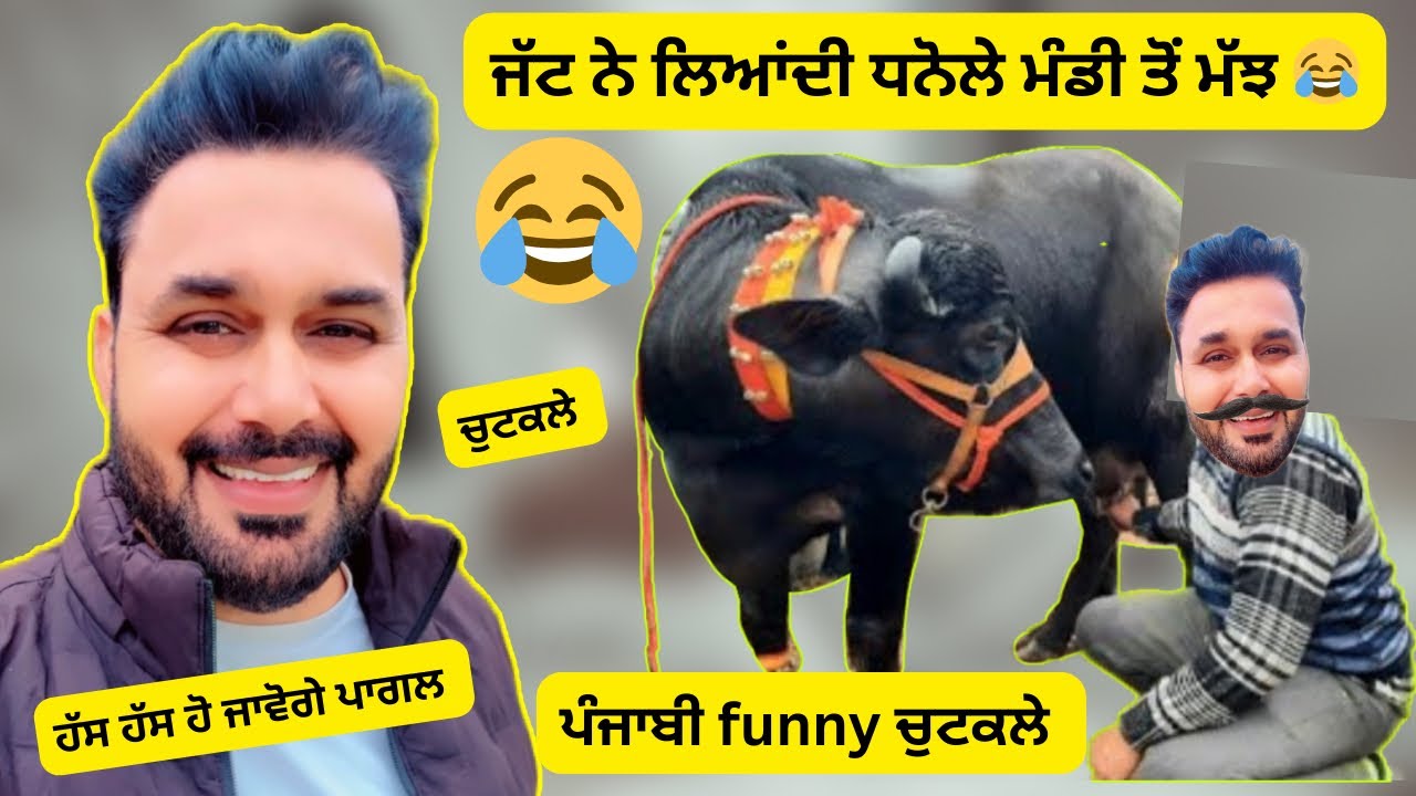 😂 ਜੱਟ ਨੇ ਲਿਆਂਦੀ ਧਨੋਲੇ ਮੰਡੀ ਤੋਂ ਮੱਝ 🐃😂 (Punjabi funny comedy video ) #comedyvideos  #funnyvideos