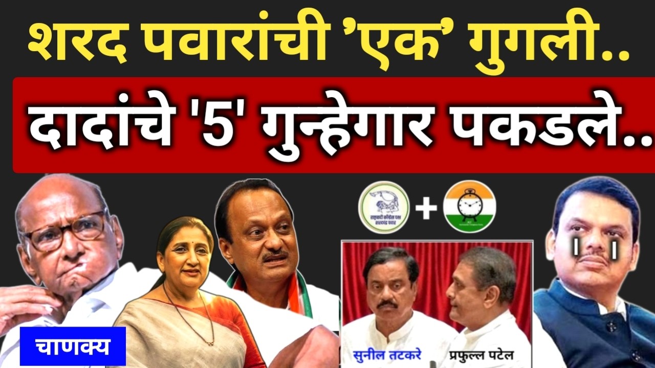 पवारांची 'एक' गुगली, दादांचे 5 गुन्हेगार पकडले..चतुर पवार 😂 Sharad Pawar l Fadnavis Tatkare Ajitdada