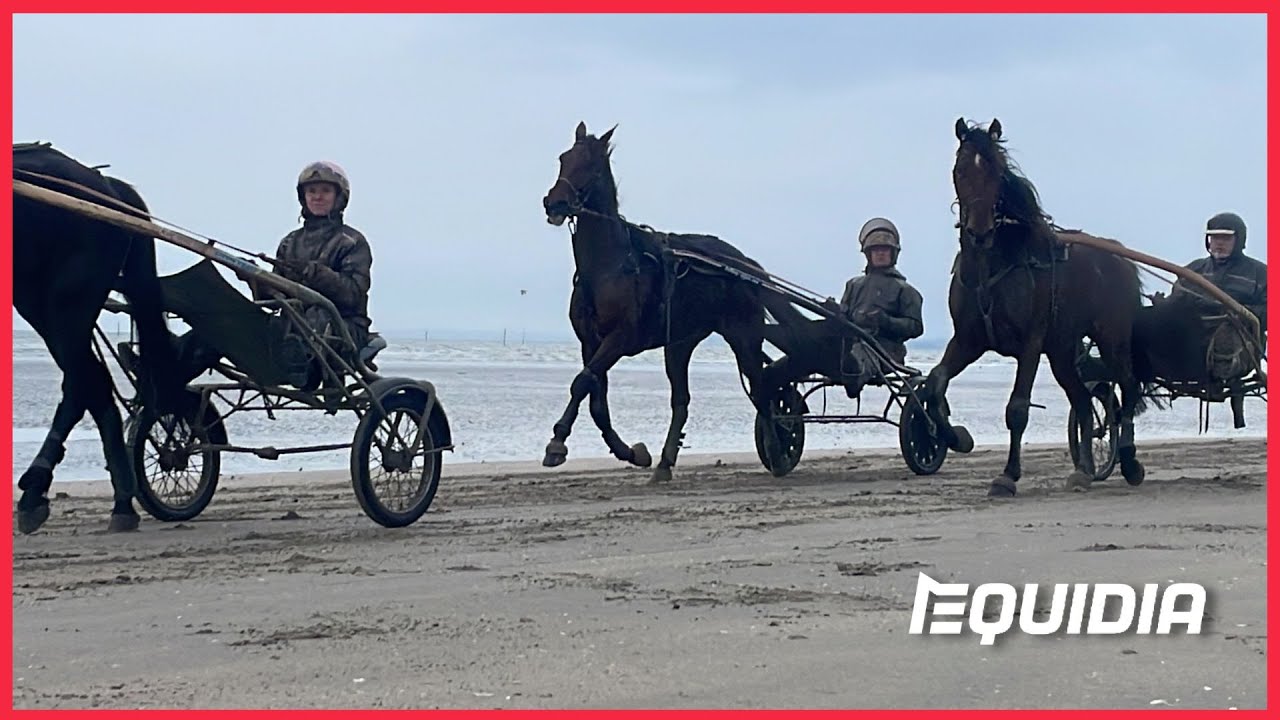 Granvillaise Bleue - La plage d'Utah Beach avant le Prix de Cornulier - 18/01/23