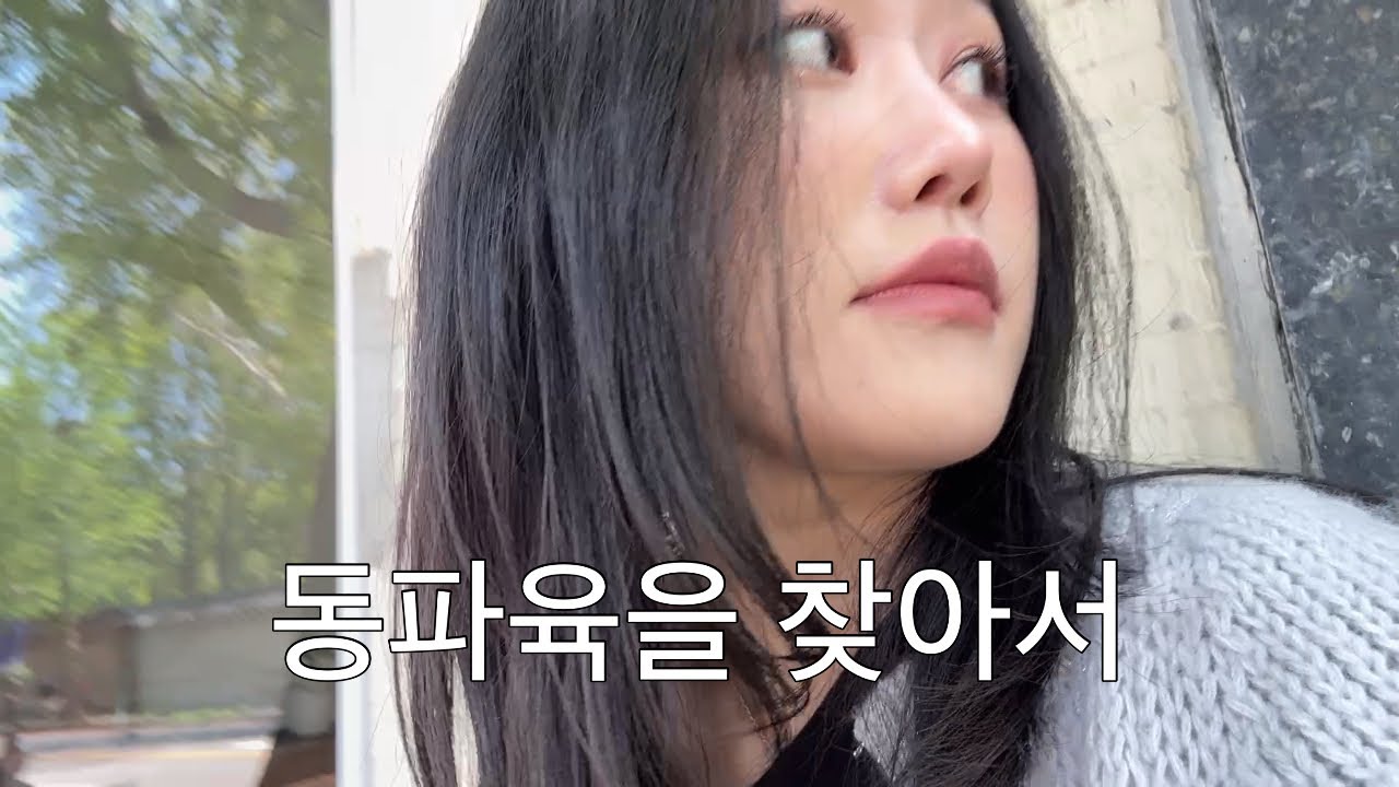 Vlog | 요즘 핫한 카페☕+동파육 대탐험 브이로그 | 도량 현장 대기 | 카멜커피