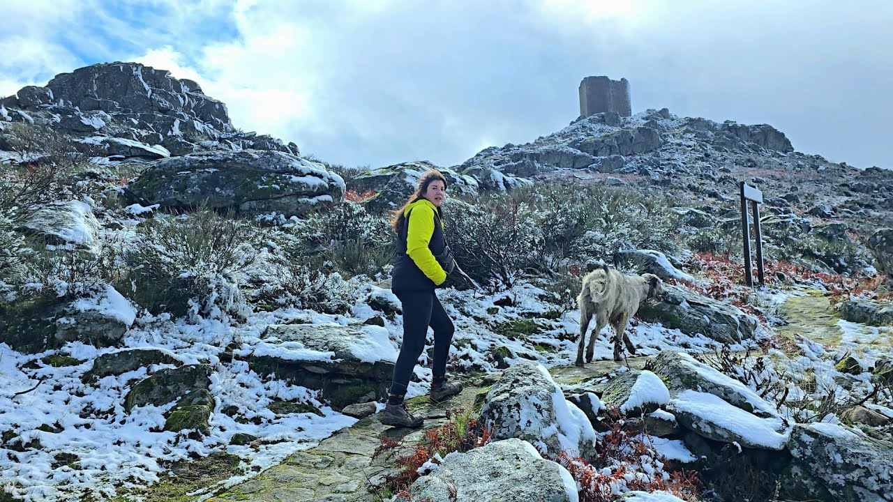 Camino al castillo nevado de la Almenara, nos encontramos con caballos
