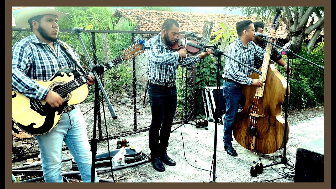 En Tuzantla tocando un Zapateado - Los Potrillos de Turicato con violín